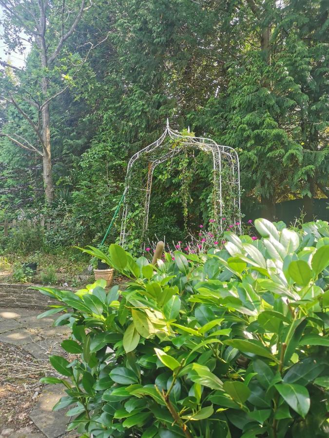 Апартаменты Peaceful Retreat Hideaway Surrey Эшер Экстерьер фото